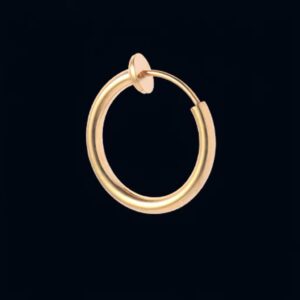 Fake Hoops Spring Earrings (Pair)