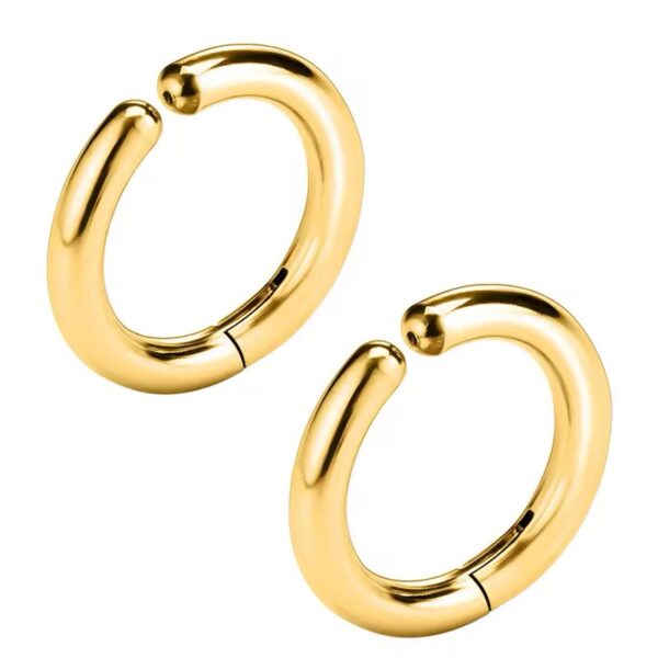Fake Hoop Earrings (Pair)